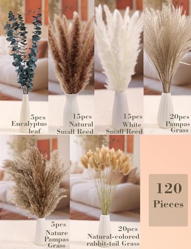 xin's convey 120 PCS Dried Pampas Grass, Dried Flowers, Reed Grass Bouquet for Bohemian Flowers Home Table Wedding Decorat...