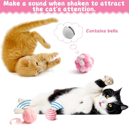 MALLMALL6 Cat Toy Set Interactive Cat Toys 27Pcs Pack Stuff Pink Feather Teaser Wand Springs Mice Sisal Fish Crinkle Balls...