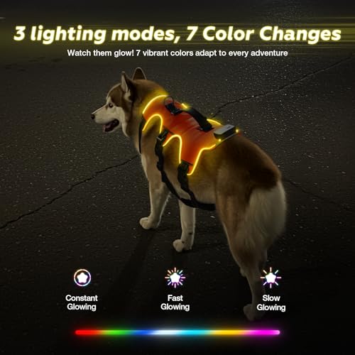 Fiveda Light Up Dog Harness LED Dog Vest - USB-C Rechargeable RGB 9-LED, Slow/Fast Rainbow Modes, Reflective No-Pull Harne...