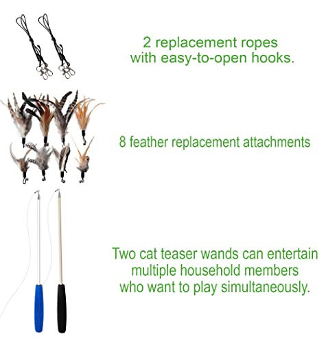 EcoCity Cat Toys - No Chemical Dyeing Cat Feather Toys for Indoor Cats - Include Cat Wand and Natural Feather Refills