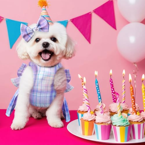 PETCARE Cute Dog Dress Clothes for Small Dogs Cats Girl Female Purple Plaid Bow Tie Dog Harness Dresses Leash Set with Pea...