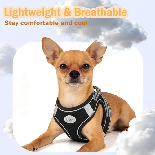 Small Dog Harness and Leash Set, Step-in Puppy Vest with Breathable Soft Padded Mesh, Walking Reflective Pet Harness for S...