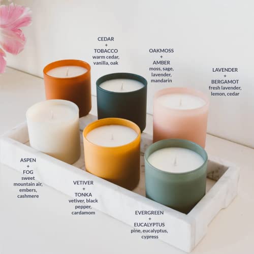 Calyan Wax Co. Dignity Series Scented Candle Gift Set - 6 Scented Candles - 35 Hour Burn - Luxury Clean Soy Wax Candles - ...