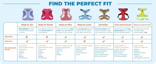 Voyager Escape-Proof Step-in Lock Cat Harness & 5ft Neoprene-Handle Leash Set All-Weather Mesh with Reflective Stitching f...