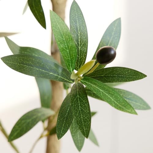 VeriNatural Artificial Olive Tree 6FT, Fake Plants Indoor - Potted Faux Olive Tree with Relistic Leaves and White Planter...