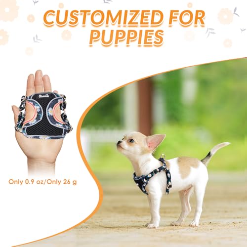 Lukovee No Pull Puppy Harness and Leash Set - Soft Lightweight Escape Proof Puppy Vest Harness, Breathable Adjustable Pet ...