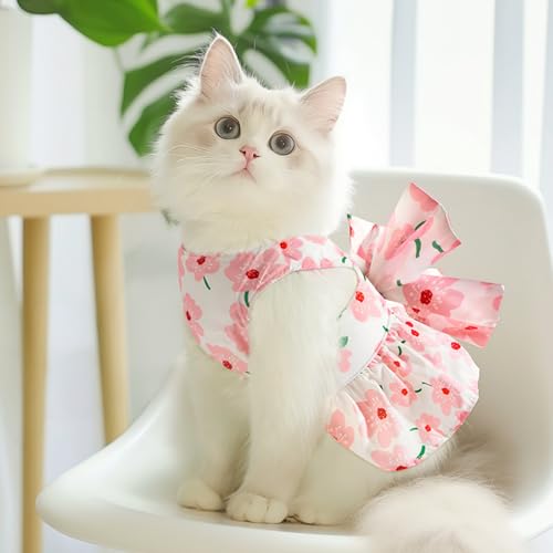 Qiansail Cute Dog Dress, Dogs Summer Dresses Female Bowknot Harness Leash Set Puppy Clothes Cat Princess Accessories for H...