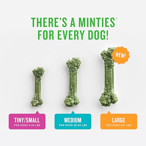 Minties Dog Dental Bone Treats, Tiny/Small Dental Dog Treats, 16 Ounces, Cleans Teeth, Fight Bad Breath, Removes Plaque an...