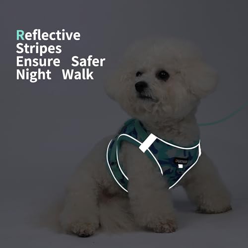 Jolifield Step in Dog Harness with Leash Set, Adjustable Soft Padded and Breathable Mesh for Small Sized Dog, Reflective N...