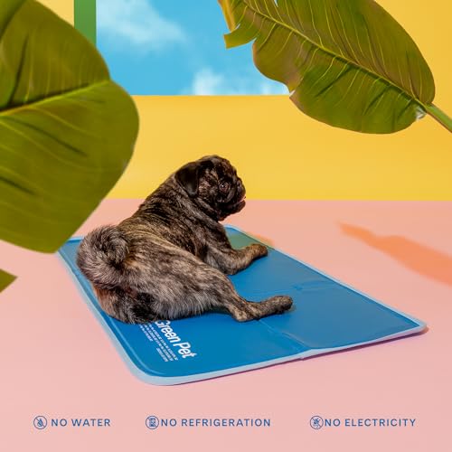The Green Pet Shop Cool Pet Pad - Extra Small, Blue - Self-Cooling, Pressure Activated Mat for Dogs & Cats from 0-8 lbs - ...