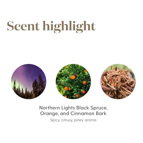 Young Living - Christmas Spirit | Festive Essential Oil Blend for Diffusers | Aromatherapy for Holiday Cheer, Winter Memor...