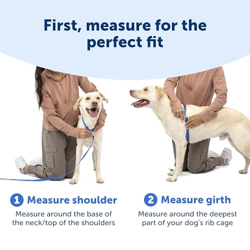 PetSafe Easy Walk Comfort No-Pull Dog Harness Full-Body Padding - Better Walks on the First Use - 5 Points of Adjustment M...