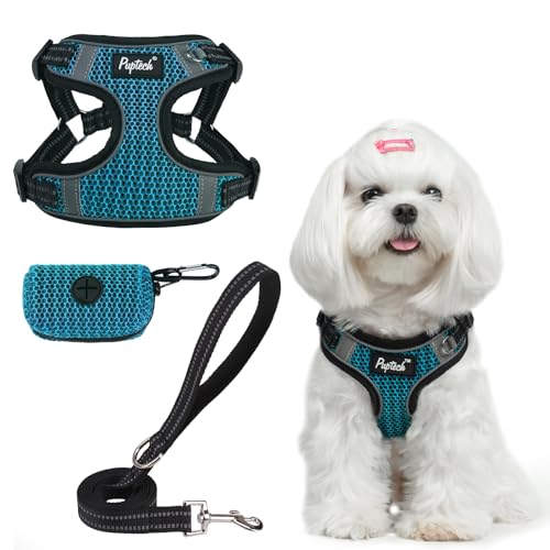 PUPTECK Dog Harness and Leash Set Small Sized, Step in No Pull Adjustable Puppy Cat Harness Reflective Pet Vest