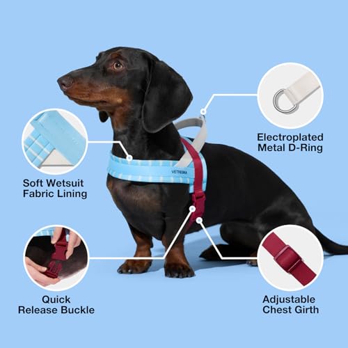 VETRESKA Dog Harness and Leash Set, Puppy Harness Adjustable, Easy Control No Choke Dog Harness for Small, Medium Dogs, Ca...