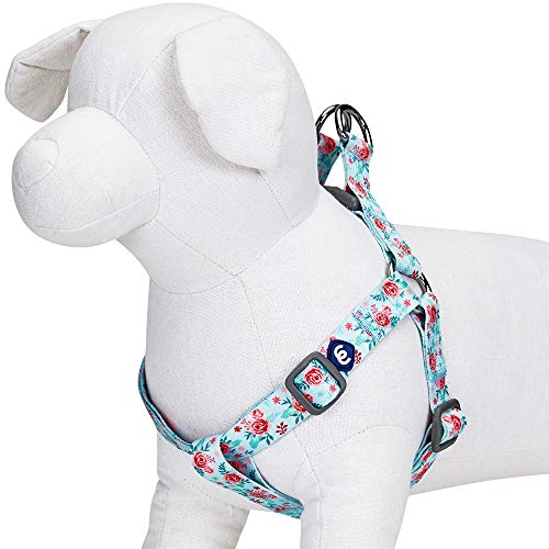 Blueberry Pet Essentials Step-in Spring Scent Inspired Garden Floral Dog Harness in Pastel Blue, Chest Girth 16.5" - 21....
