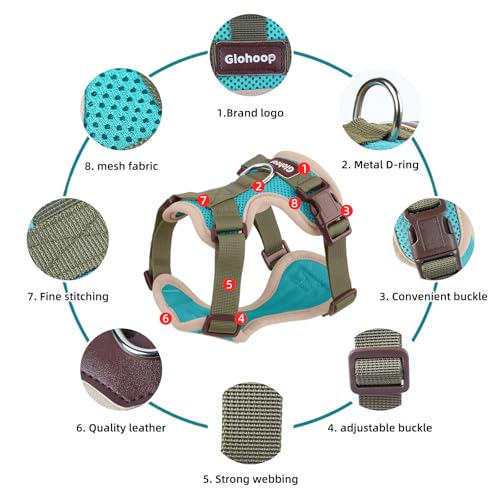 Small Dog Harness and Leash Set, Breathable Mesh Puppy Harness, Adjustable Dog Harness for Small Medium Large Dogs, No-Pul...