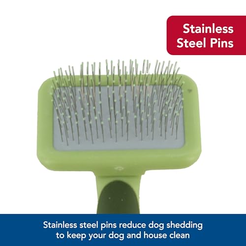 Coastal Pet Safari Dog Soft Slicker Brush - Dog Grooming Brush for Shedding - for Dogs with Short, Medium and Long Hair - ...