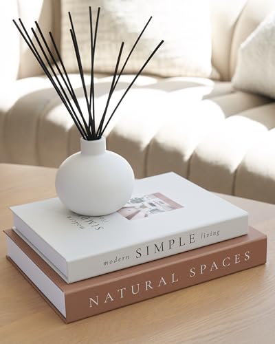 Beautiful Decorative Books - Set of 2 Boxes Enhance Your Coffee Table, Bookshelf or Mantel Shelf Decor - Aesthetic Fake/Fa...
