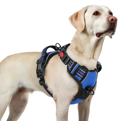 rabbitgoo Dog Harness for Large, No Pull Pet Harness with 3 Buckles, Adjustable Soft Padded Vest with Control Handle, Walk...
