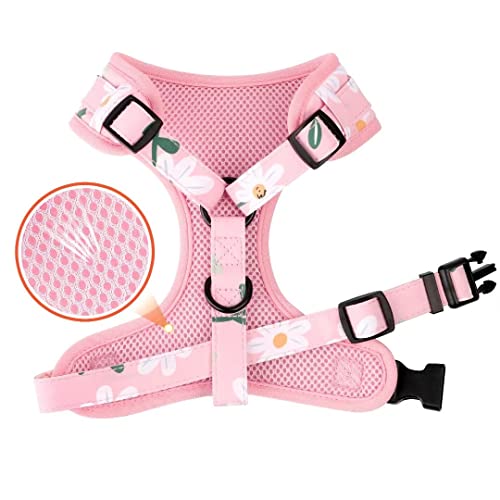 Beirui Cute Girl Dog Collars, Harnesses & Leashes Set - Adjustable Dog Collar and Leash Set with Flower - Soft Mesh Dog Ve...