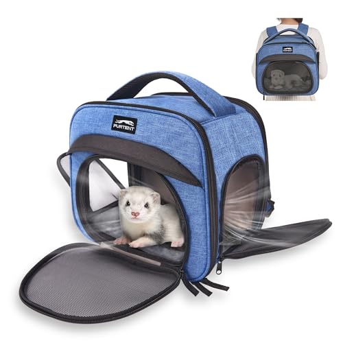 Small Pet Carrier, Breathable Collapsible Pet Bag with Safety Leash for Small Puppy, Kitten, Guinea Pig Weighing up to 8 P...