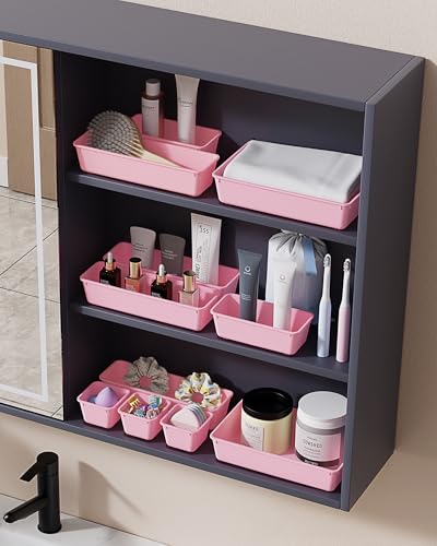 BiuLeon 25 PCS Plastic Drawer Organizers Set, 4-Sizes Vanity and Makeup Organizer, Desk and bathroom Drawer Organizer Tray...