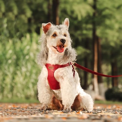 Beirui ‌Stylish PU Leather Dog Harness‌ and Leash Set for Small Dogs, ‌Adjustable Step in Dog Vest Harness with Breathable...