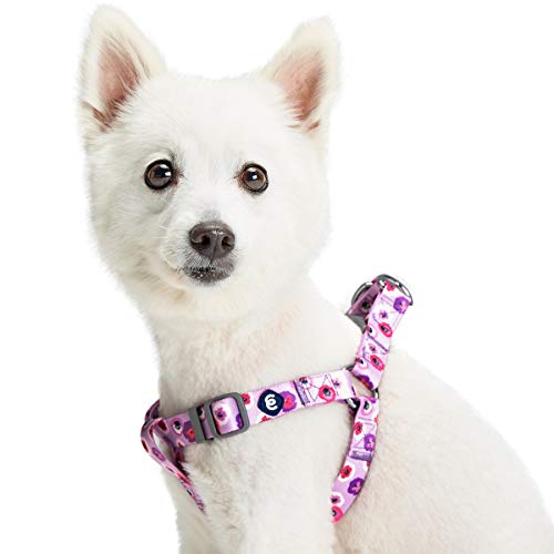 Blueberry Pet Essentials Step-in Spring Scent Inspired Garden Floral Dog Harness in Light Purple, Chest Girth 16.5" - 21....