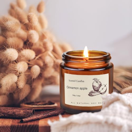 6-Pack Jar Scented Candles for Home Scented - Home Decorative Candles Gift Set, 3.5oz Soy Wax Candles for Living Room, Bat...