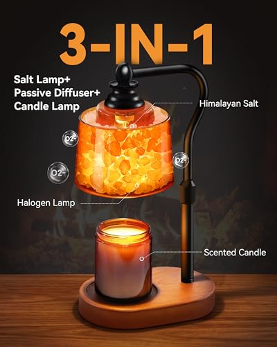 CaHomet 3-in-1 Candle Warmer Lamp with Timer Dimmable, Himalayan Salt Lamp & Passive Diffuser, Gifts for Women, House Warm...