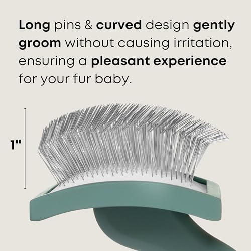 Freshly Bailey Doodle Brush for Goldendoodle, Poodle, and Labradoodle Coats - Best Slicker for Dogs With Wavy & Curly Hair...
