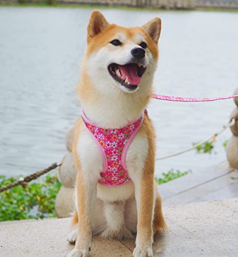 Moonpet Step in Dog Harness Leash Set- All Weather Reflective No-Pull Floral Pattern Padded Mesh Vest Harness for Cats Pup...