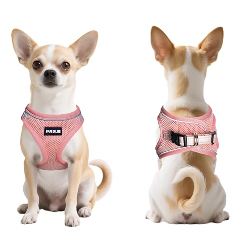 Dog Harness and Leash Set, No Pull Soft Mesh Pet Harness -in Puppy Pet Vest Harnesses for XS,Small,Medium Dogs and Cats Pi...