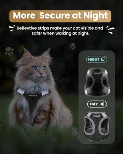 FAYOGOO Cat Harness and Leash Set for Walking Escape Proof, Kitten Adjustable Small Large Cat Lightweight Soft Vest Harnes...