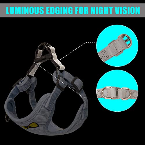 No Pull Dog Harness with Leash Pet Soft Vest Harness and Leash Set Dog Cat No Choke Escape Proof Harness Reflective Step i...