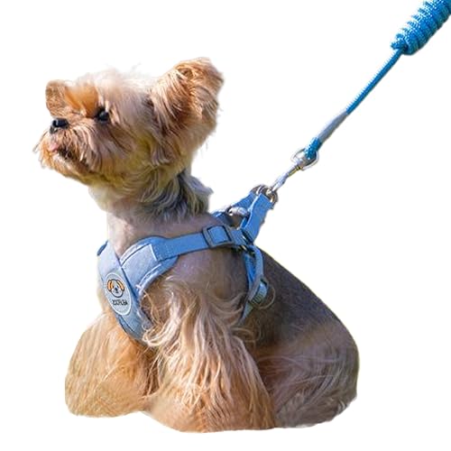 ZOOFLEM Dog Harness with Leash Set, Puppy Soft Vest No Choke No Pull, Adjustable Neck and Chest, Lightweight Harness and A...