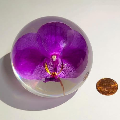 HQRP-Crystal 66mm Real Purple Orchid in Clear Lucite Resin Ball Anniversary Wedding Engagement Valentine October Birth Mon...