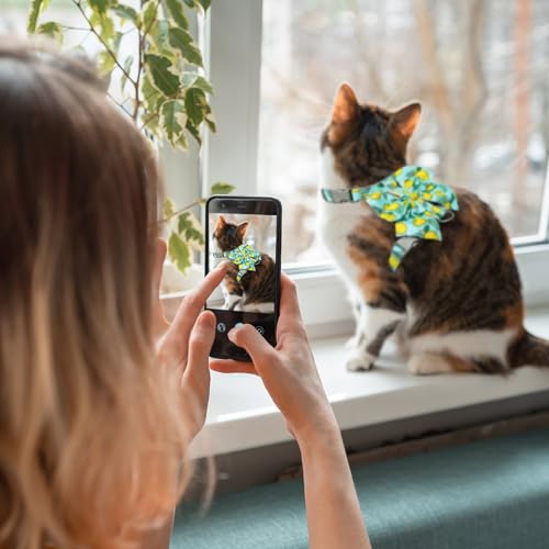 PAWCHIE Cat Harness and Leash Set with Bow Knot,Cats Escape Proof - Adjustable Daisy Floral Kitten Harness Soft Outdoor Wa...