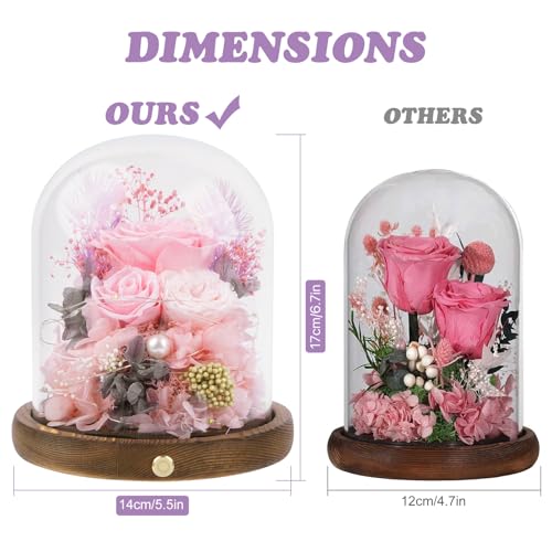 Large Preserved Flowers with Card&Box-Flowers for Delivery Prime,Eternal Rose with Lights,Roses in Glass Dome,Romantic Gif...