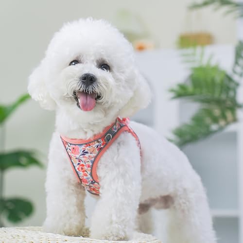 Step in Dog Harness and Leash Set, Flower Adjustable Easy Walk Puppy Harnesses, Soft Mesh Pet Vest Harness Small Size Dog ...