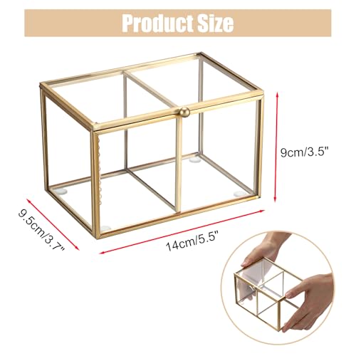 Hipiwe 2 Slots Glass Qtip Holder Gold Q-tip Storage Box with Lid Bathroom Accessories Container for Cotton Balls Cotton Sw...