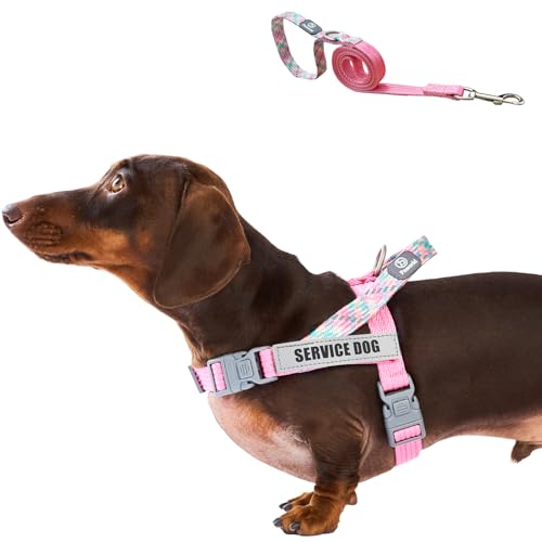 Paworld Service Dog Harness and Leash Set, No-Pull Service Dog Vest with 4 PCS Reflective Patches, Dog Vest Harness with H...