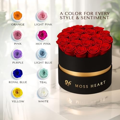 Moss Heart 20 Mini Preserved Roses, Round Luxury Gift Box, Real Forever Roses Last 1+ Year, Premium Romantic Gift for Wome...