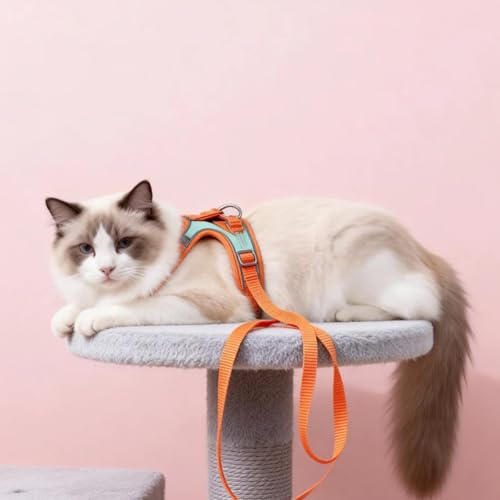 Escape-Proof Cat Harness and Leash Set, Soft Breathable Mesh Vest Style Cat Harness, Adjustable Step-in Cat Harness for Wa...