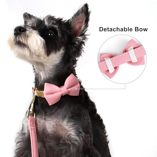 Beirui Adorable Small Dog Harness Collar Leash Set,Cute Puppy Harness with 3 Bows for XS Dogs,Yorkie,Adjustable Step-in Ve...