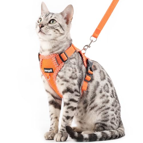 pangdi Cat Harness and Leash Escape Proof Large Kitten Harness Ragdoll Cat Vest for Walking Travel, Orange, L