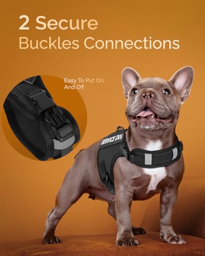FAYOGOO Service Dog Vest for Small Dogs - Air Mesh Breathble Emotional Support Animal Vest with Velcro Patches - Puppy Har...