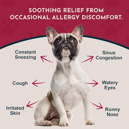 Animal Essentials Seasonal Allergy Treatment for Dogs - Liquid Herbal Support for Dogs & Cats, Wellness Supplement for Sen...