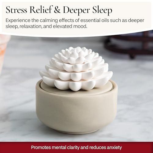 Airomé White Succulent, Porcelain Passive Essential Oil Diffuser (with 15ml Peppermint Essential Oil) – Non-Electric, Batt...