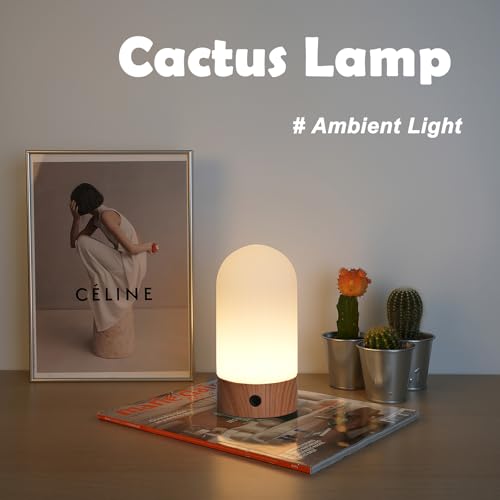 WEILAILUX Battery Operated Shower Lamp Waterproof, Small Portable Cordless Table Lamp Rechargeable, Touch Dimmable Mood Li...